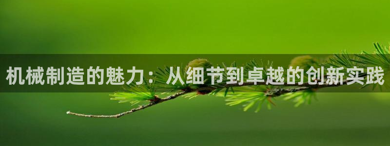 摩根国际娱乐宝官网