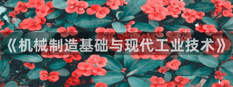 摩根娱乐宝机怎么玩