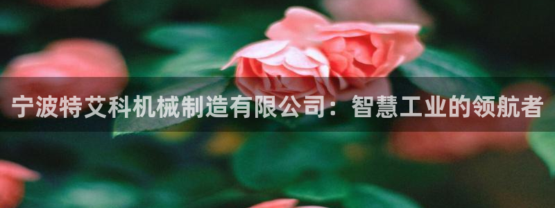 义乌摩根娱乐会所邮箱