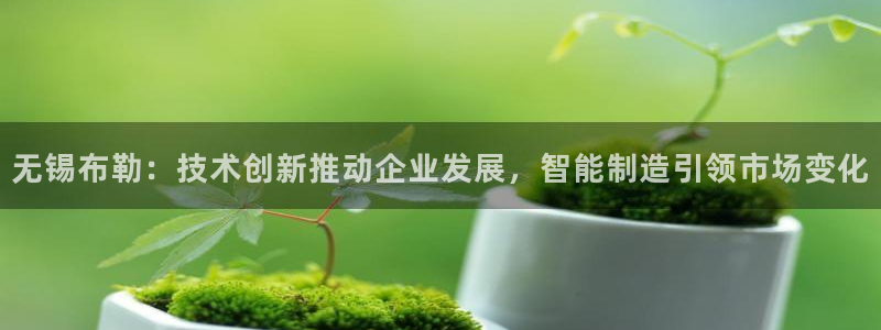 泉州摩根会娱乐有限公司