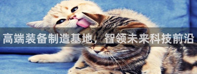 摩根娱乐包是什么意思