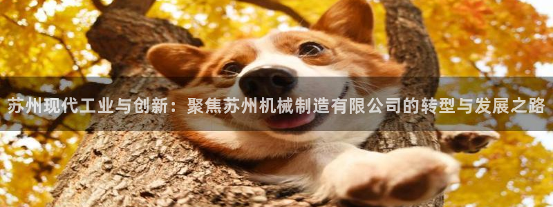 下载摩根娱乐宝