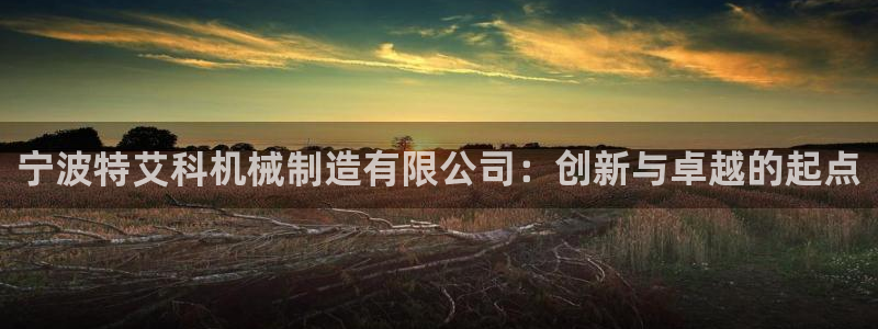 摩根娱乐 总s管50015