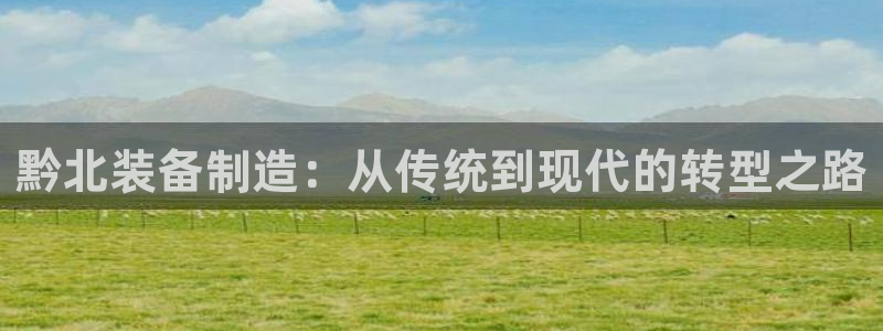 摩根娱乐 实c力77310