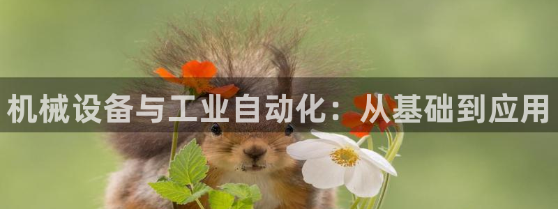 摩根娱乐宝合法吗