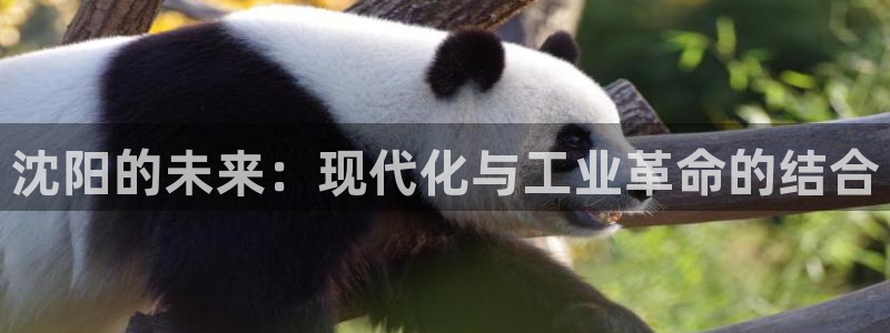 摩根娱乐部