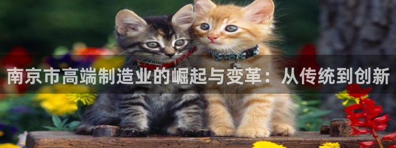 摩根娱乐平台云挂机安全吗