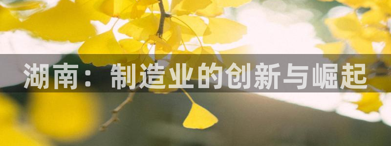 摩根娱乐登录入口网站