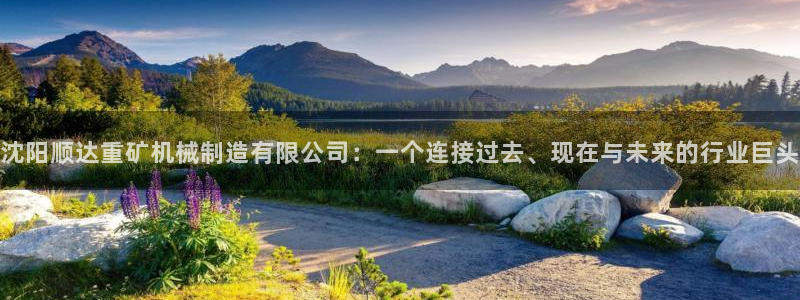 摩根士丹利凯撒娱乐