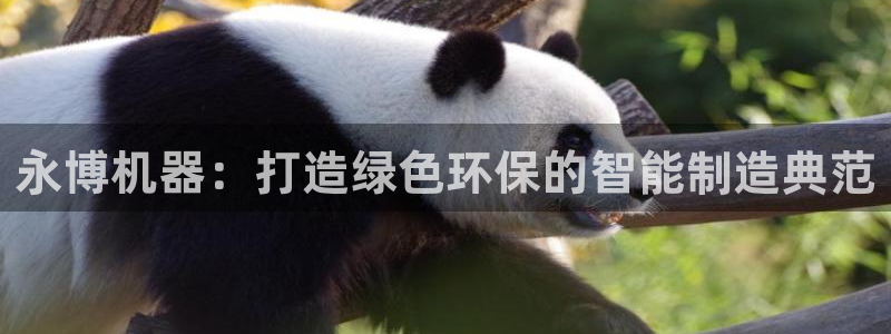 奥飞娱乐摩根调研