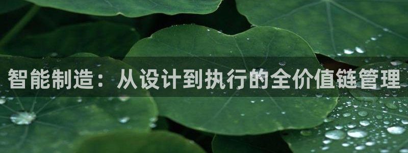 摩根娱乐总部在哪里