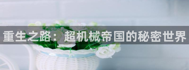 摩根娱乐宝总部