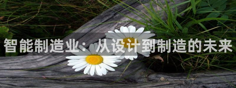 摩根娱乐宝代理