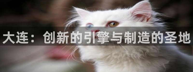 奥飞娱乐摩根调研