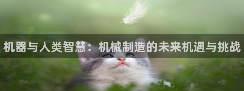 摩根娱乐电玩