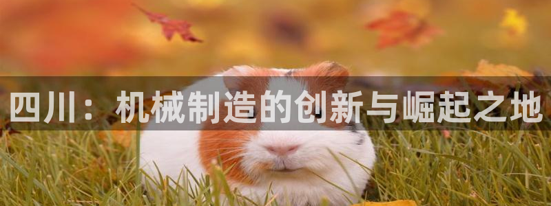 摩根娱乐宝总部
