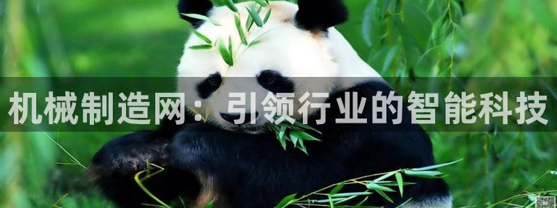 摩根在娱乐圈爆红
