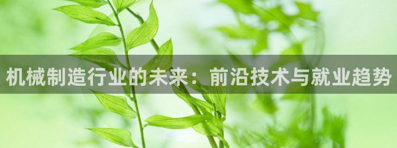 上投摩根娱乐
