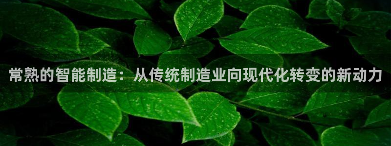 摩根娱乐宝手机客户端