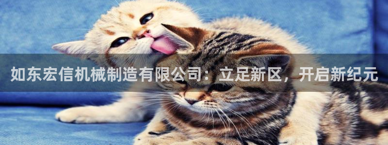 义乌摩根娱乐