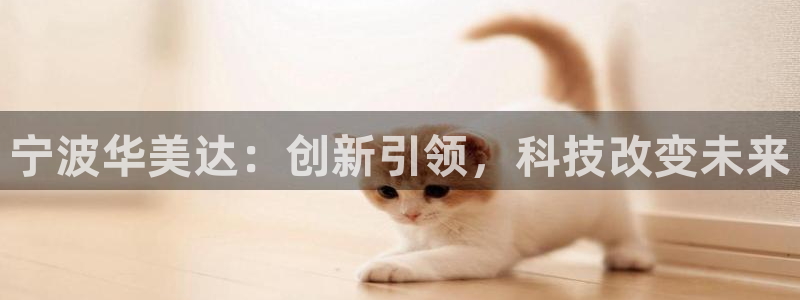 摩根娱乐宝是什么东西