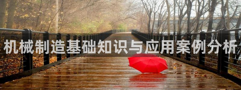 摩根娱乐宝代理