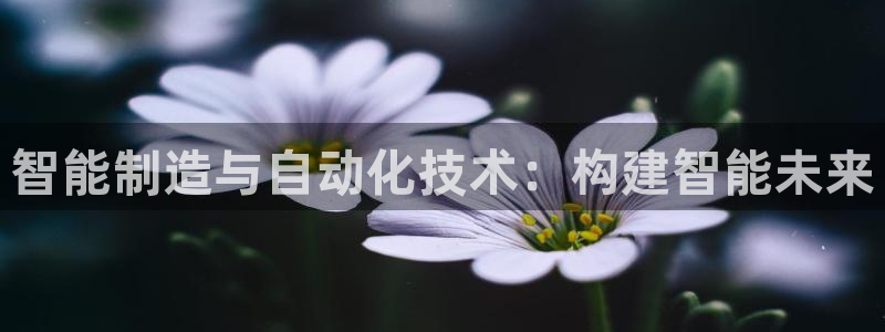 摩根娱乐注册账号