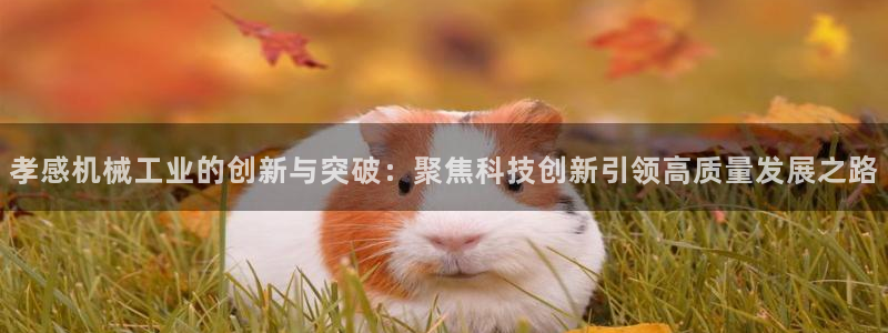 泉州摩根会娱乐张桂花