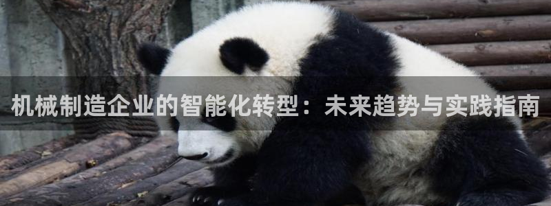 摩根转型娱乐的视频