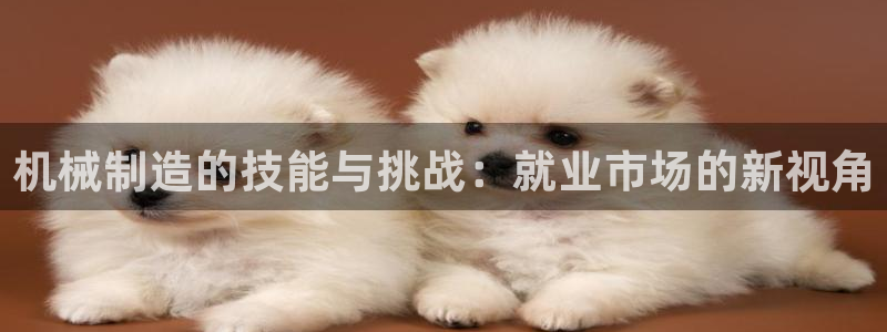 武汉摩根众睿娱乐