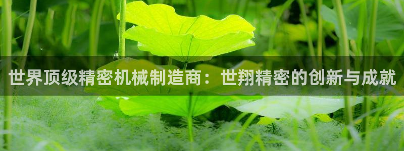 泉州摩根会娱乐有限责任公司管理