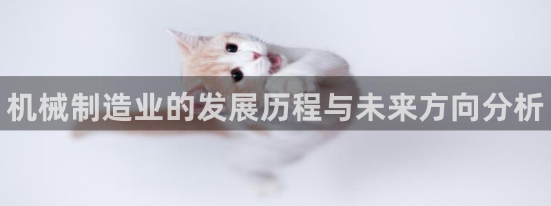 摩根娱乐信益怎么样