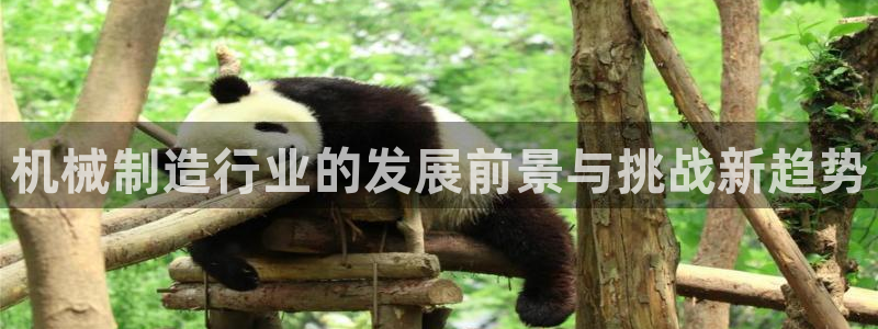 摩根娱乐宝进不去