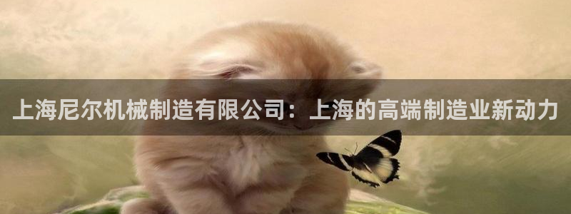 摩根娱乐包是什么意思