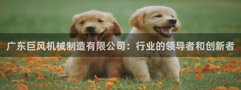 摩根娱乐是什么模式