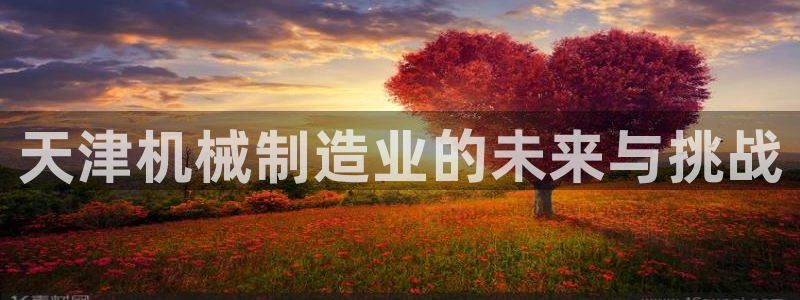 摩根娱乐宝使用操作