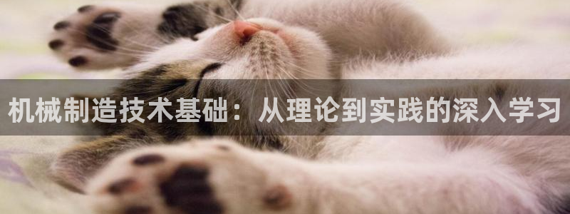 摩根娱乐50186