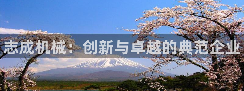 摩根娱乐开户总s管50015 15