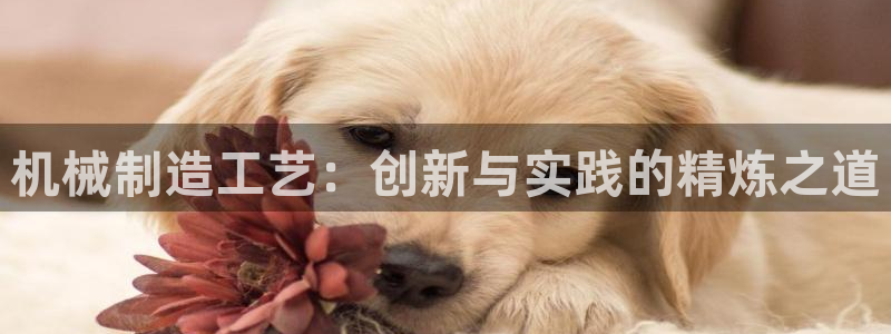 泉州摩根娱乐会所招聘