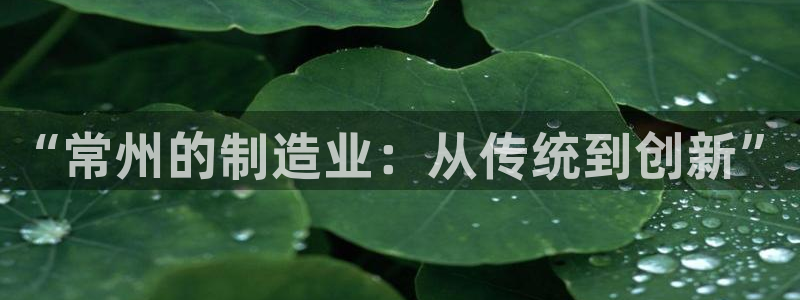 摩根娱乐宝诈骗