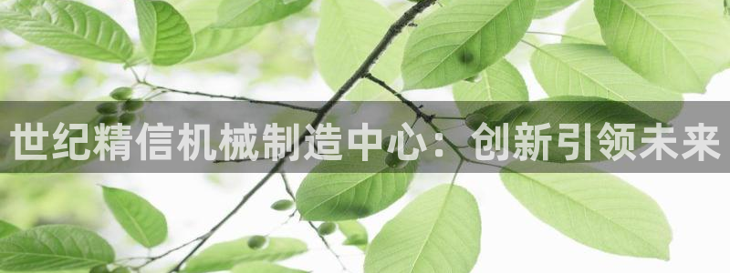 摩根娱乐50186夂