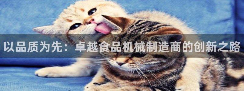 摩根娱乐是真的呀
