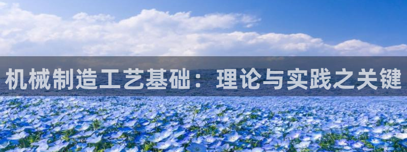 摩根娱乐注册平台