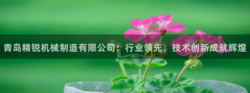 摩根在娱乐圈爆红