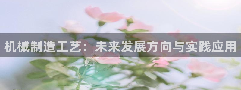 义乌摩根娱乐有限公司