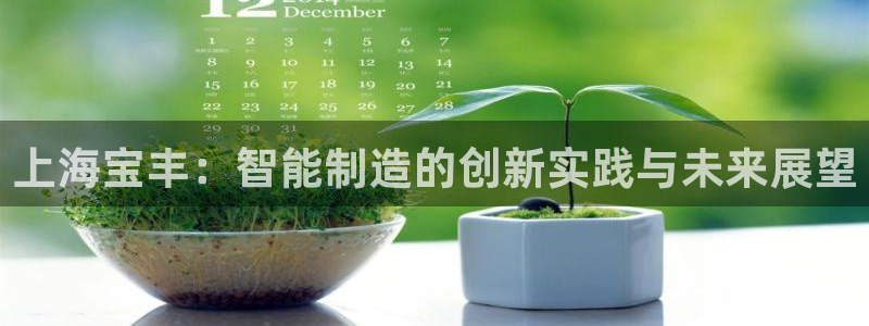 摩根国际亚太娱乐宝