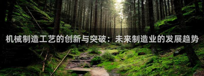 摩根娱乐挂机项目是什么