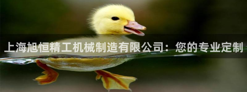 摩根娱乐宝总部