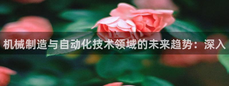 摩根娱乐云挂机项目