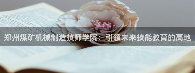 摩根转型娱乐的视频